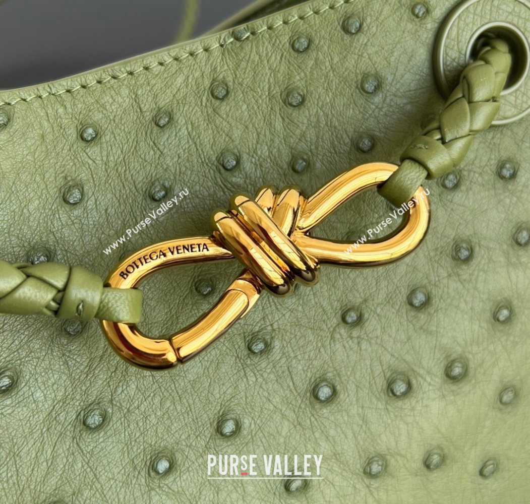 Bottega Veneta Mini Andiamo Top Handle Bag in Ostrich Leather Matcha Green 2026 805232 (WT-260116017)