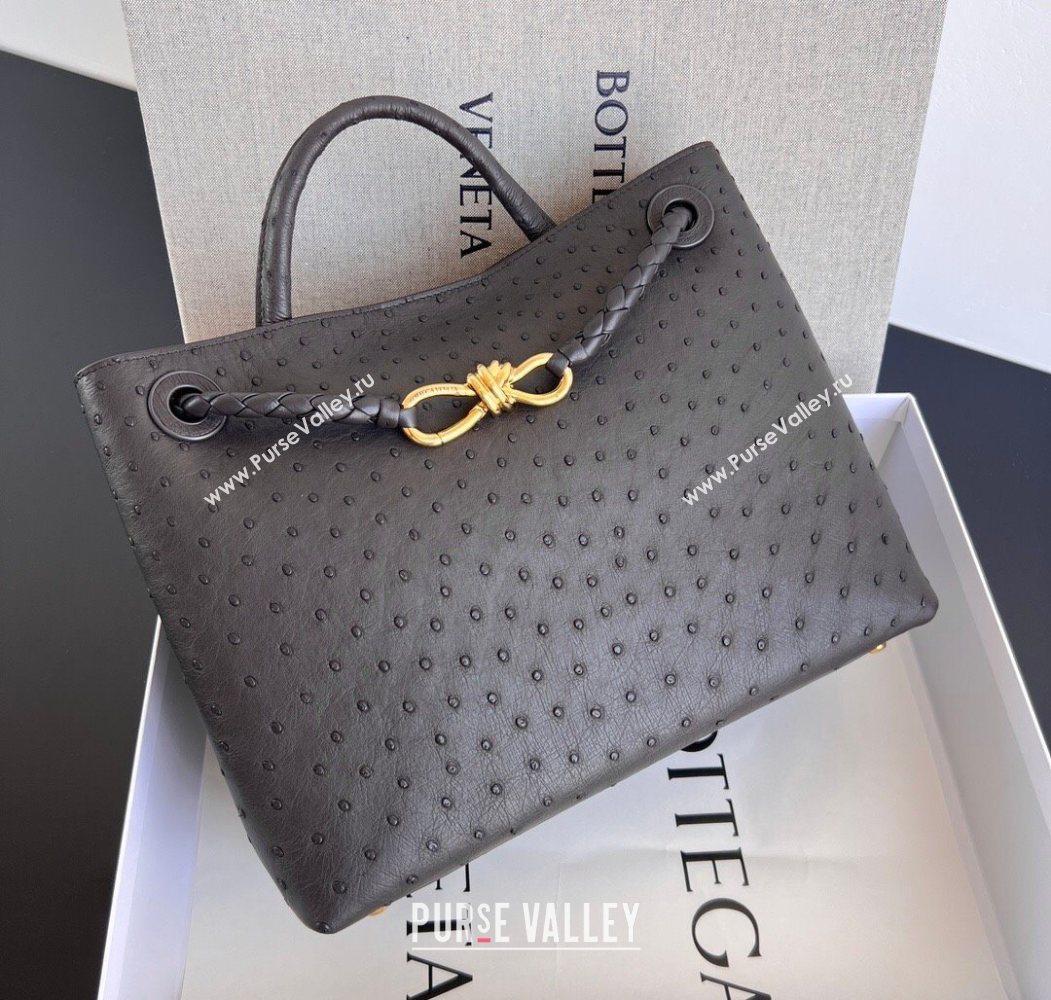 Bottega Veneta Medium Andiamo Top Handle Bag in Ostrich Leather Deep Brown 2026 817805 (WT-260116018)