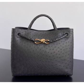 Bottega Veneta Medium Andiamo Top Handle Bag in Ostrich Leather Deep Brown 2026 817805 (WT-260116018)