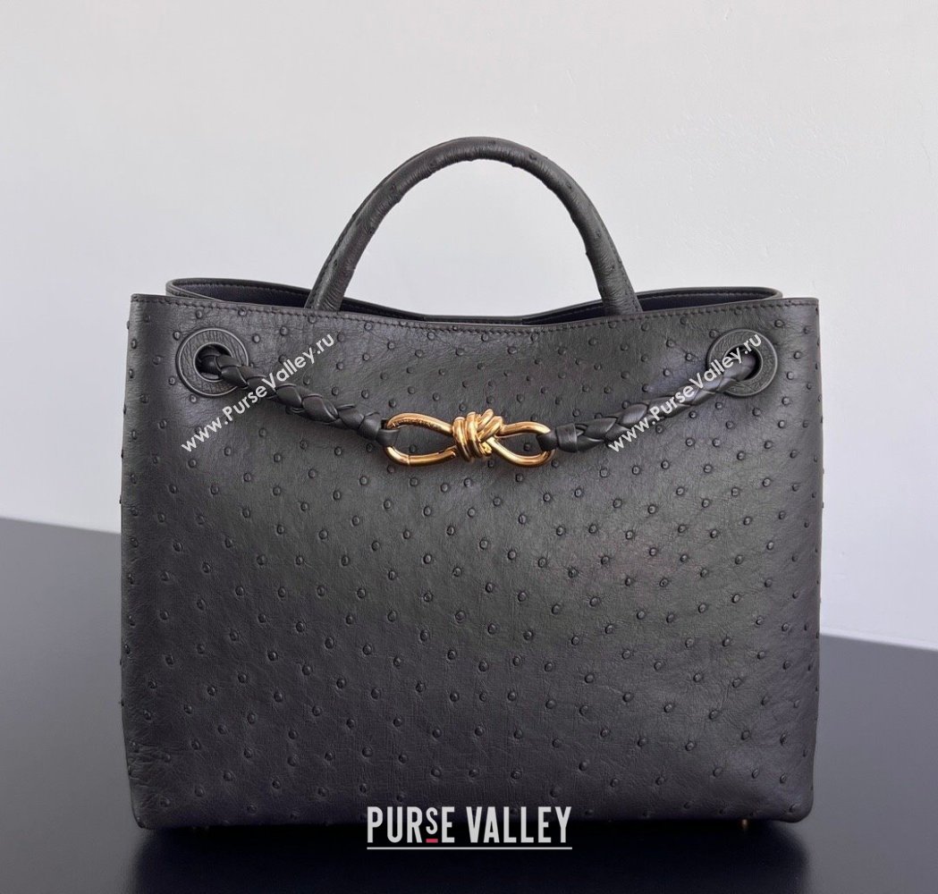 Bottega Veneta Medium Andiamo Top Handle Bag in Ostrich Leather Deep Brown 2026 817805 (WT-260116018)