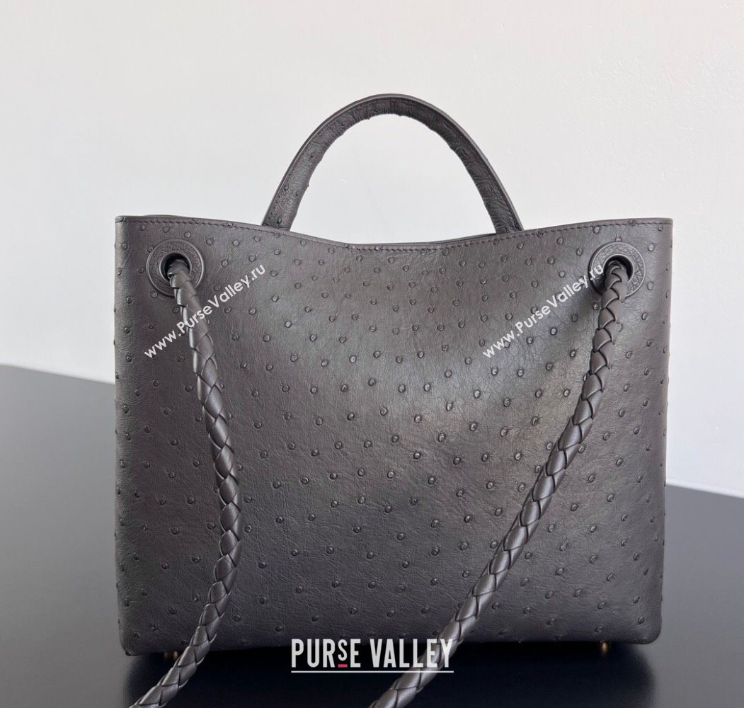 Bottega Veneta Medium Andiamo Top Handle Bag in Ostrich Leather Deep Brown 2026 817805 (WT-260116018)