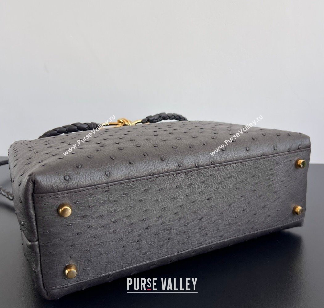 Bottega Veneta Medium Andiamo Top Handle Bag in Ostrich Leather Deep Brown 2026 817805 (WT-260116018)