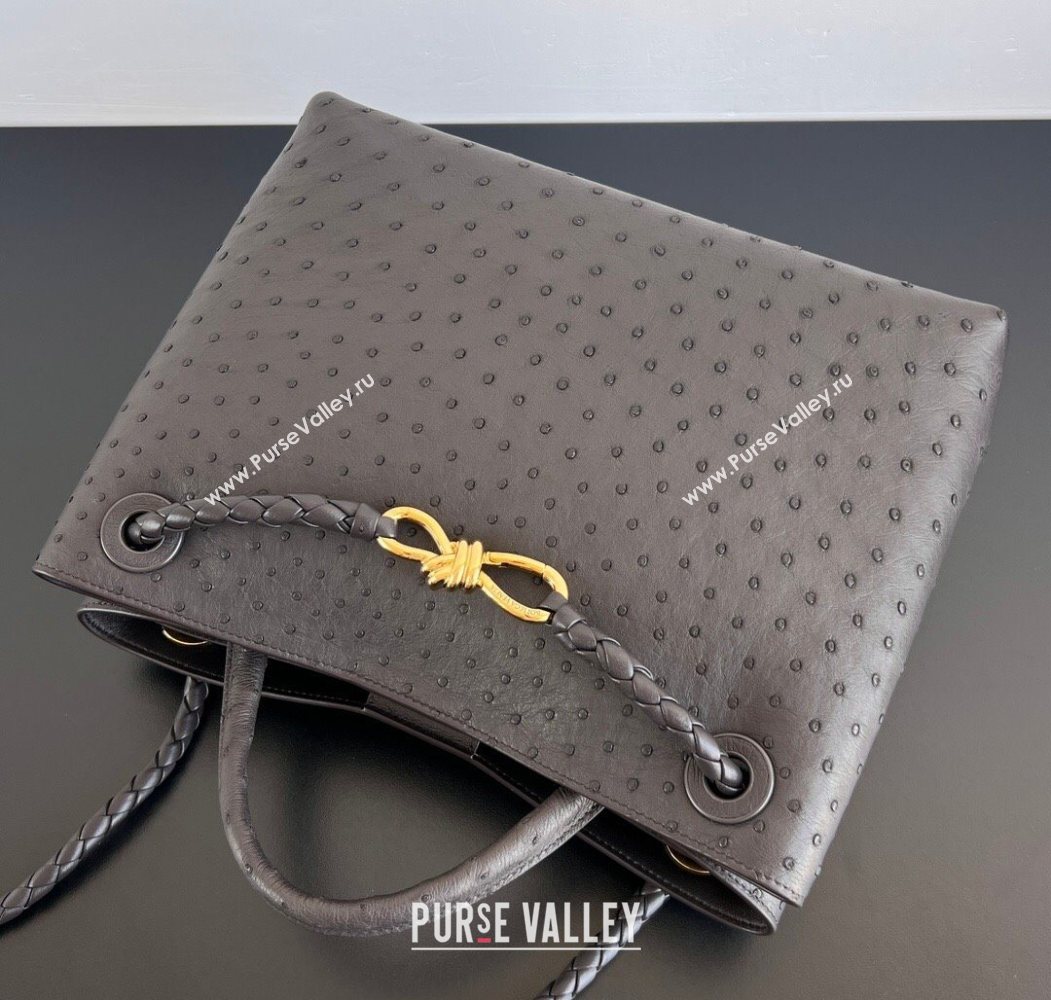 Bottega Veneta Medium Andiamo Top Handle Bag in Ostrich Leather Deep Brown 2026 817805 (WT-260116018)