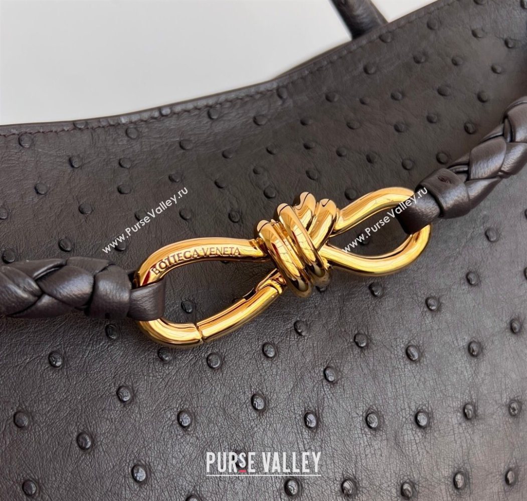 Bottega Veneta Medium Andiamo Top Handle Bag in Ostrich Leather Deep Brown 2026 817805 (WT-260116018)