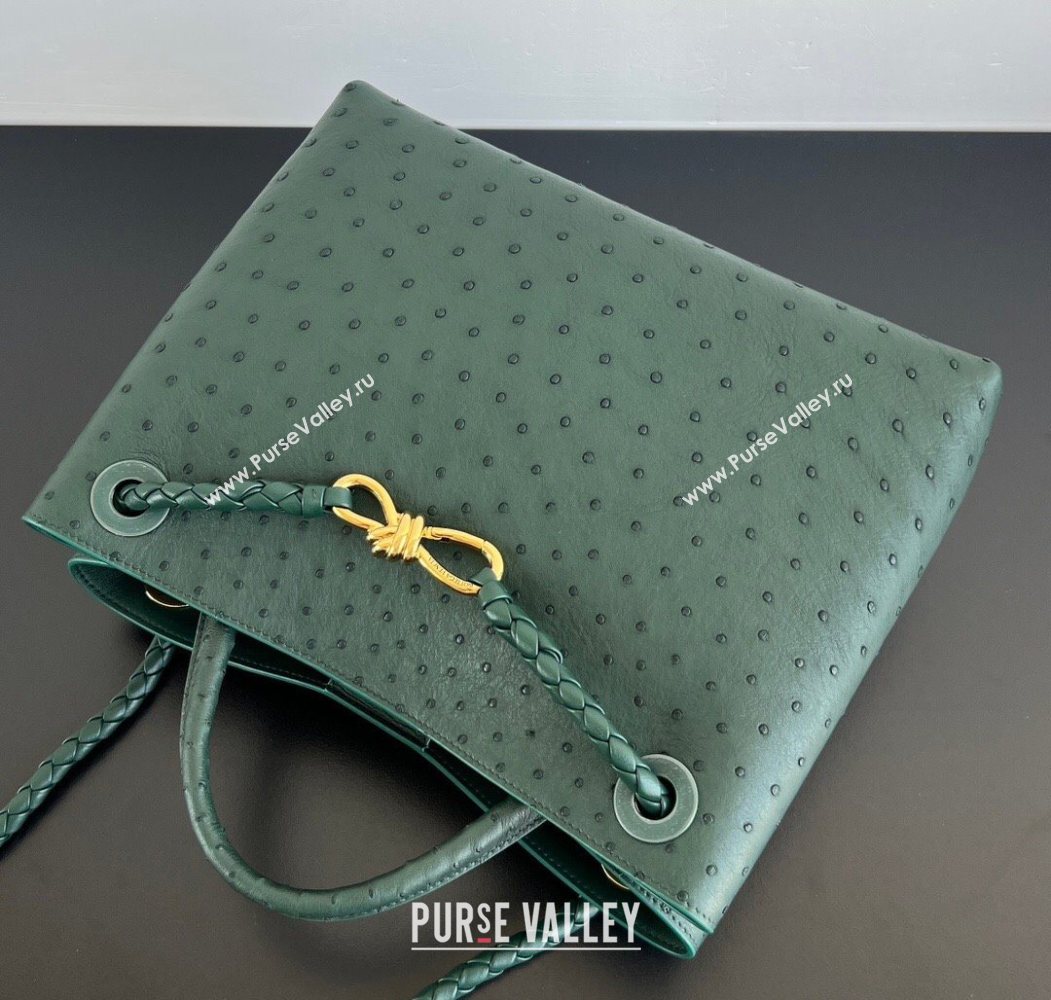 Bottega Veneta Medium Andiamo Top Handle Bag in Ostrich Leather Emerald Green 2026 817805 (WT-260116019)