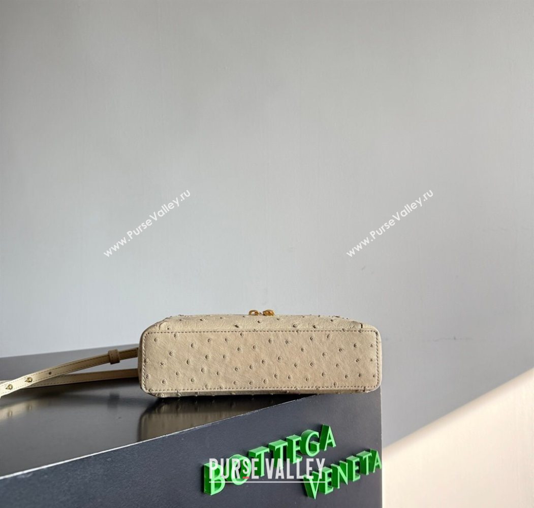 Bottega Veneta Bang Bang Vanity Case Bag in Ostrich Leather Cream Yellow 2026 817785 (WT-260116009)