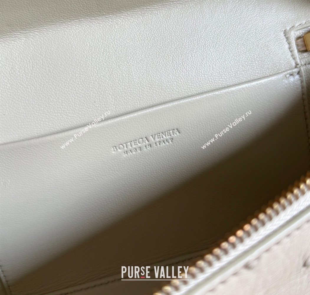Bottega Veneta Bang Bang Vanity Case Bag in Ostrich Leather Cream Yellow 2026 817785 (WT-260116009)
