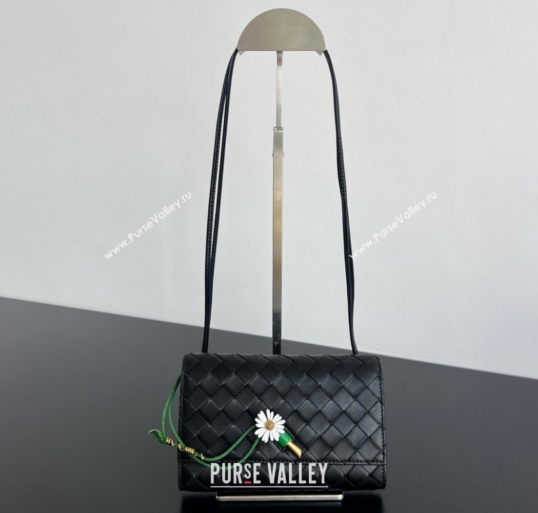 Bottega Veneta Andiamo Daisy Pouch Mini Bag in Intrecciato Leather 838870 Black 2025 (WT-260117022)