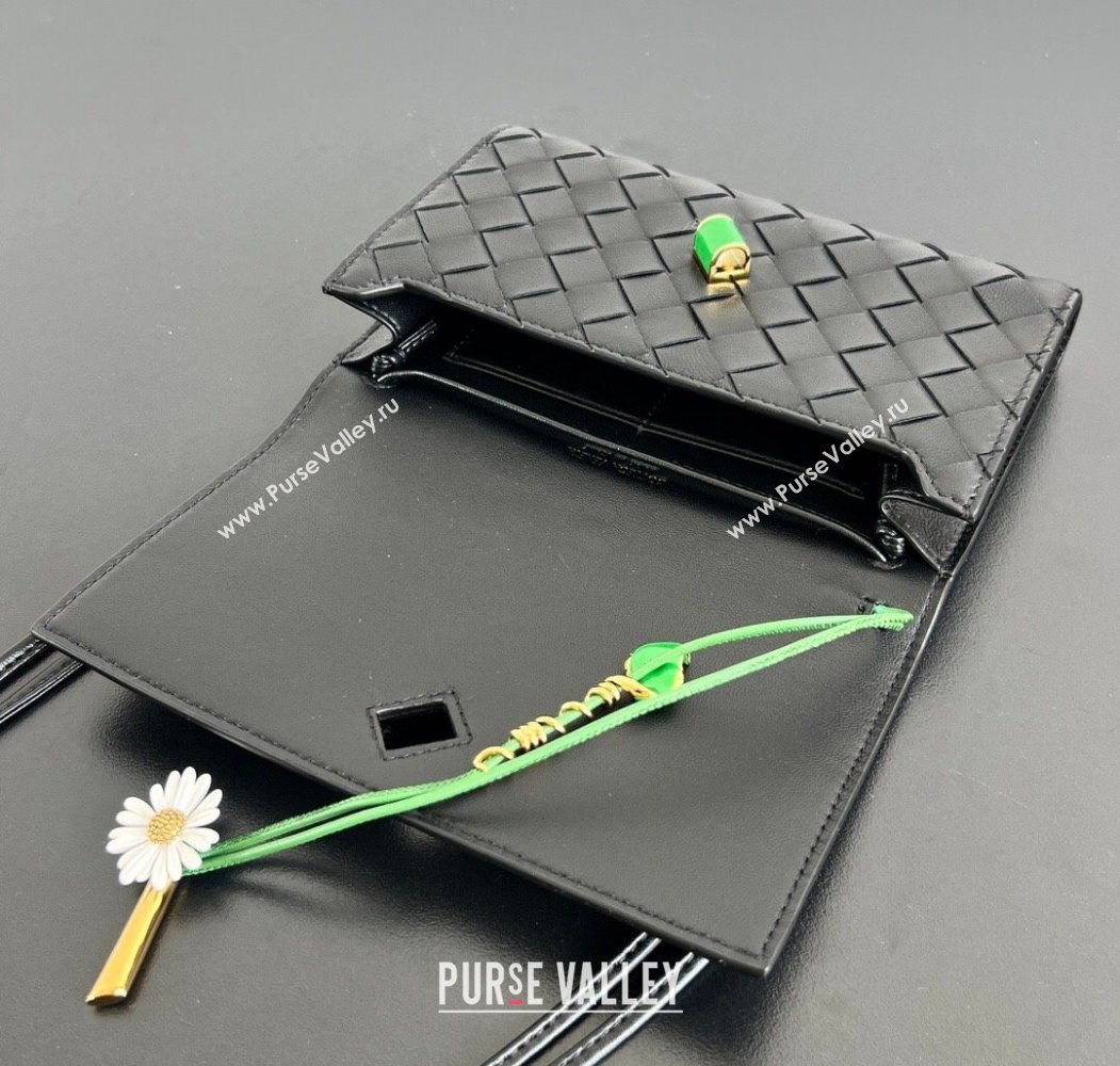 Bottega Veneta Andiamo Daisy Pouch Mini Bag in Intrecciato Leather 838870 Black 2025 (WT-260117022)