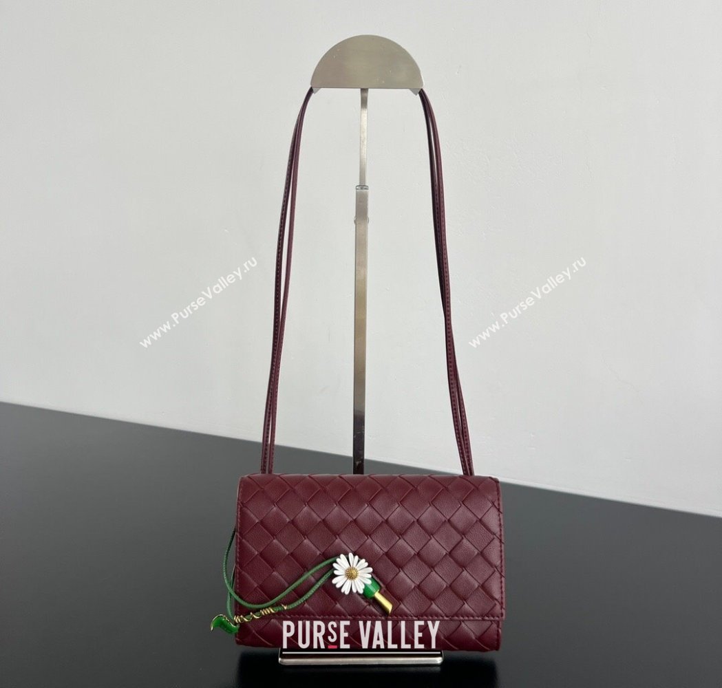 Bottega Veneta Andiamo Daisy Pouch Mini Bag in Intrecciato Leather 838870 Barolo Red 2025 (WT-260117023)