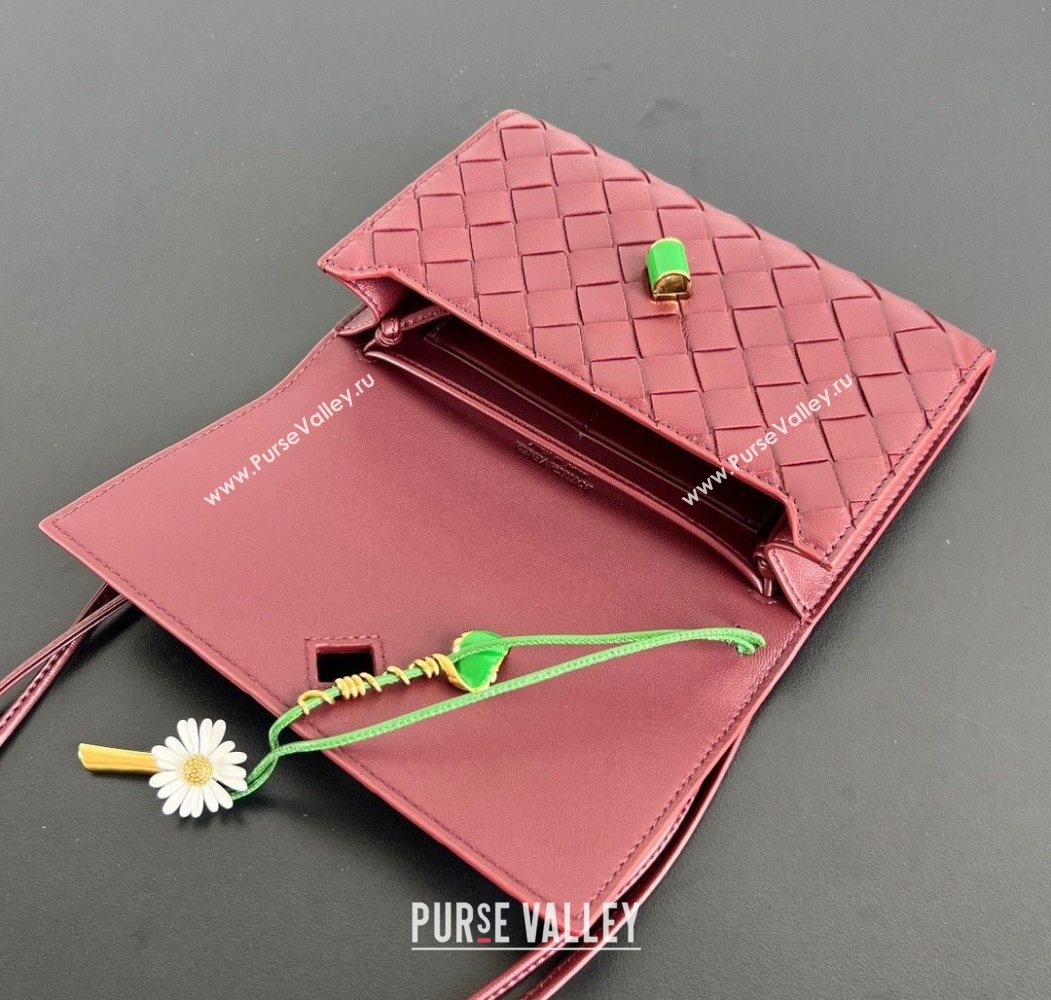 Bottega Veneta Andiamo Daisy Pouch Mini Bag in Intrecciato Leather 838870 Barolo Red 2025 (WT-260117023)