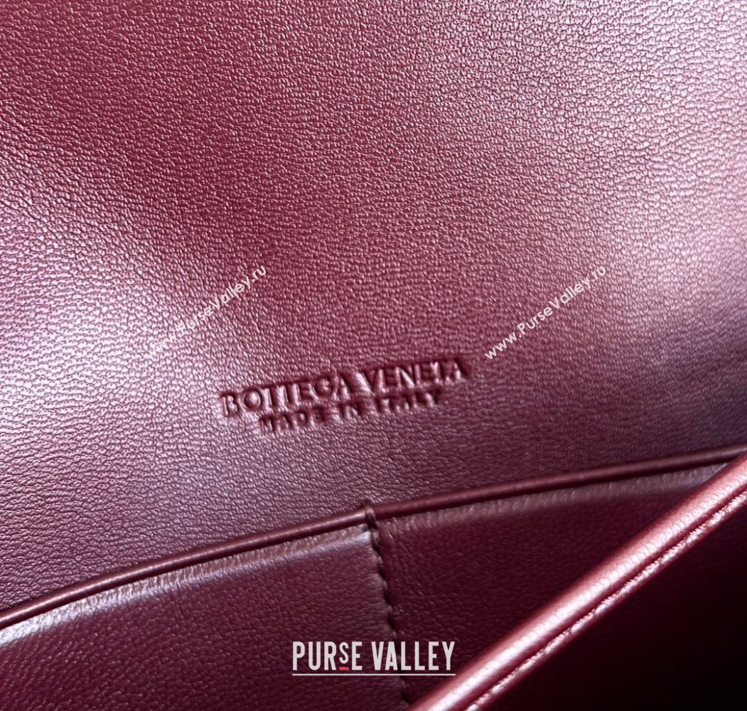 Bottega Veneta Andiamo Daisy Pouch Mini Bag in Intrecciato Leather 838870 Barolo Red 2025 (WT-260117023)