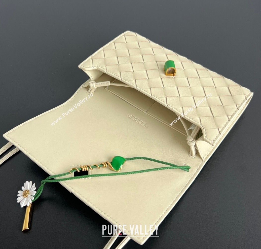 Bottega Veneta Andiamo Daisy Pouch Mini Bag in Intrecciato Leather 838870 Sea Salt 2025 (WT-260117025)