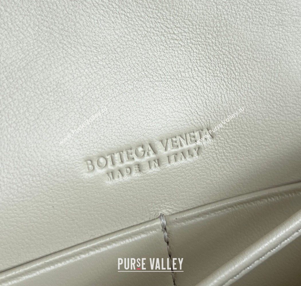 Bottega Veneta Andiamo Daisy Pouch Mini Bag in Intrecciato Leather 838870 Sea Salt 2025 (WT-260117025)