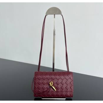 Bottega Veneta Andiamo Pouch on Strap Mini Bag in Intrecciato Leather 836940 Barolo Red 2026 (WT-260117027)