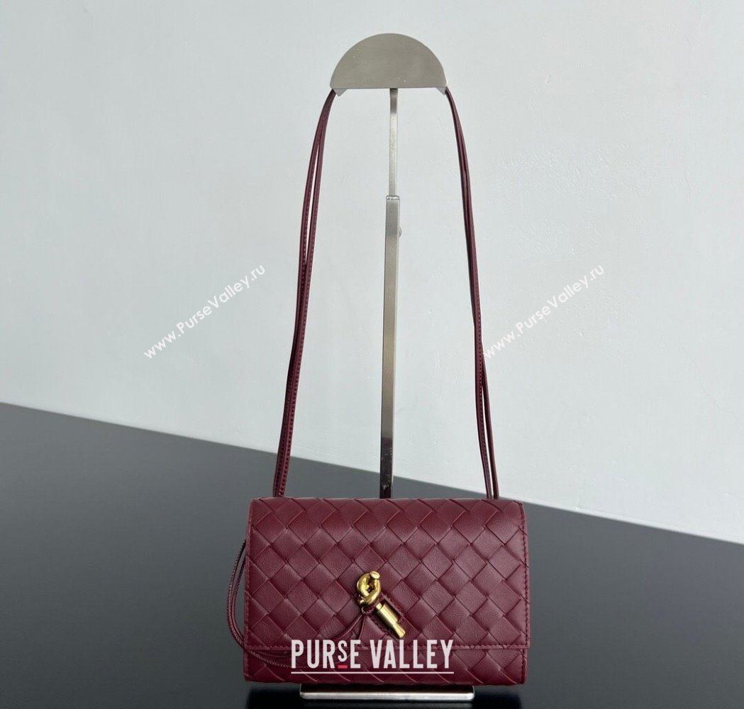 Bottega Veneta Andiamo Pouch on Strap Mini Bag in Intrecciato Leather 836940 Barolo Red 2026 (WT-260117027)