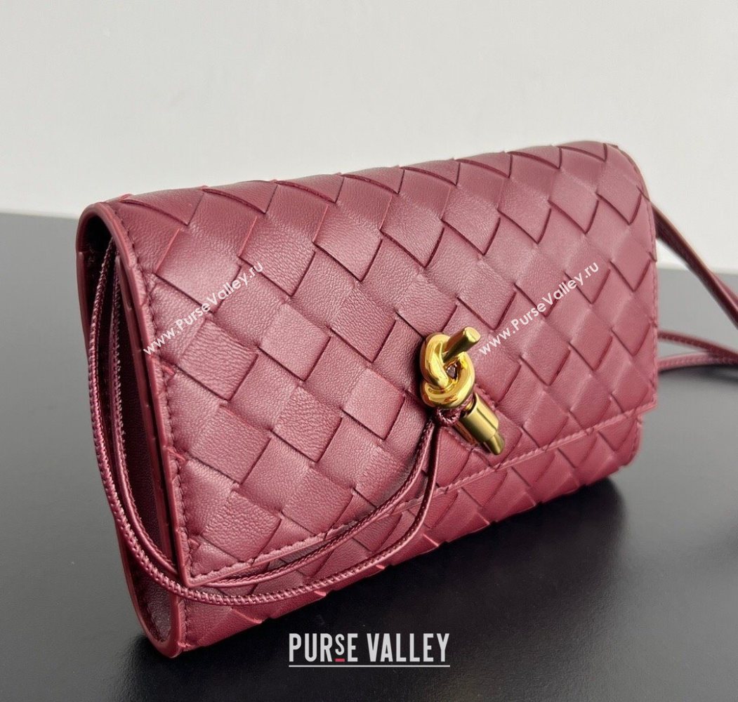 Bottega Veneta Andiamo Pouch on Strap Mini Bag in Intrecciato Leather 836940 Barolo Red 2026 (WT-260117027)