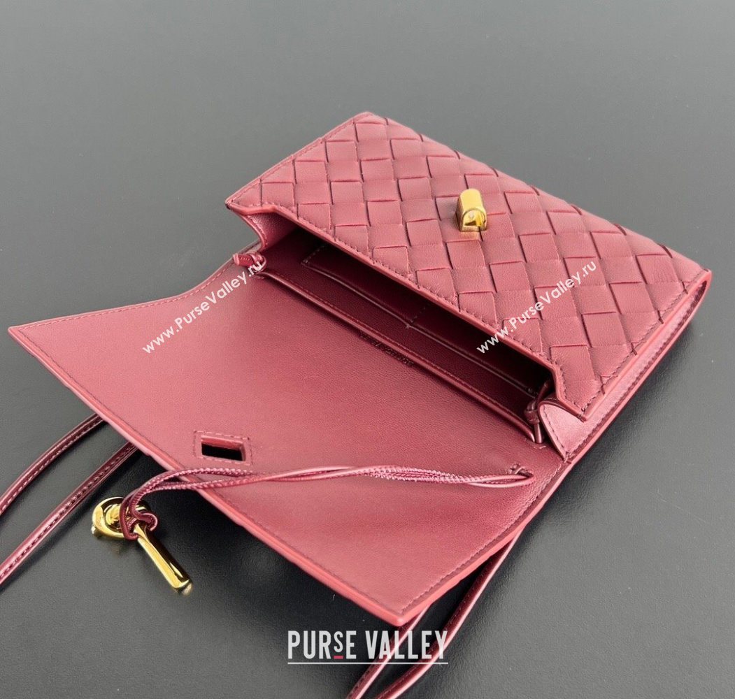 Bottega Veneta Andiamo Pouch on Strap Mini Bag in Intrecciato Leather 836940 Barolo Red 2026 (WT-260117027)