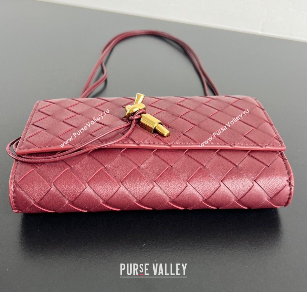 Bottega Veneta Andiamo Pouch on Strap Mini Bag in Intrecciato Leather 836940 Barolo Red 2026 (WT-260117027)