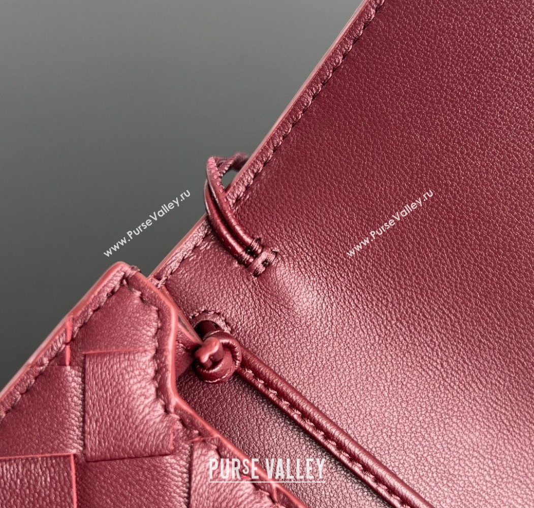 Bottega Veneta Andiamo Pouch on Strap Mini Bag in Intrecciato Leather 836940 Barolo Red 2026 (WT-260117027)