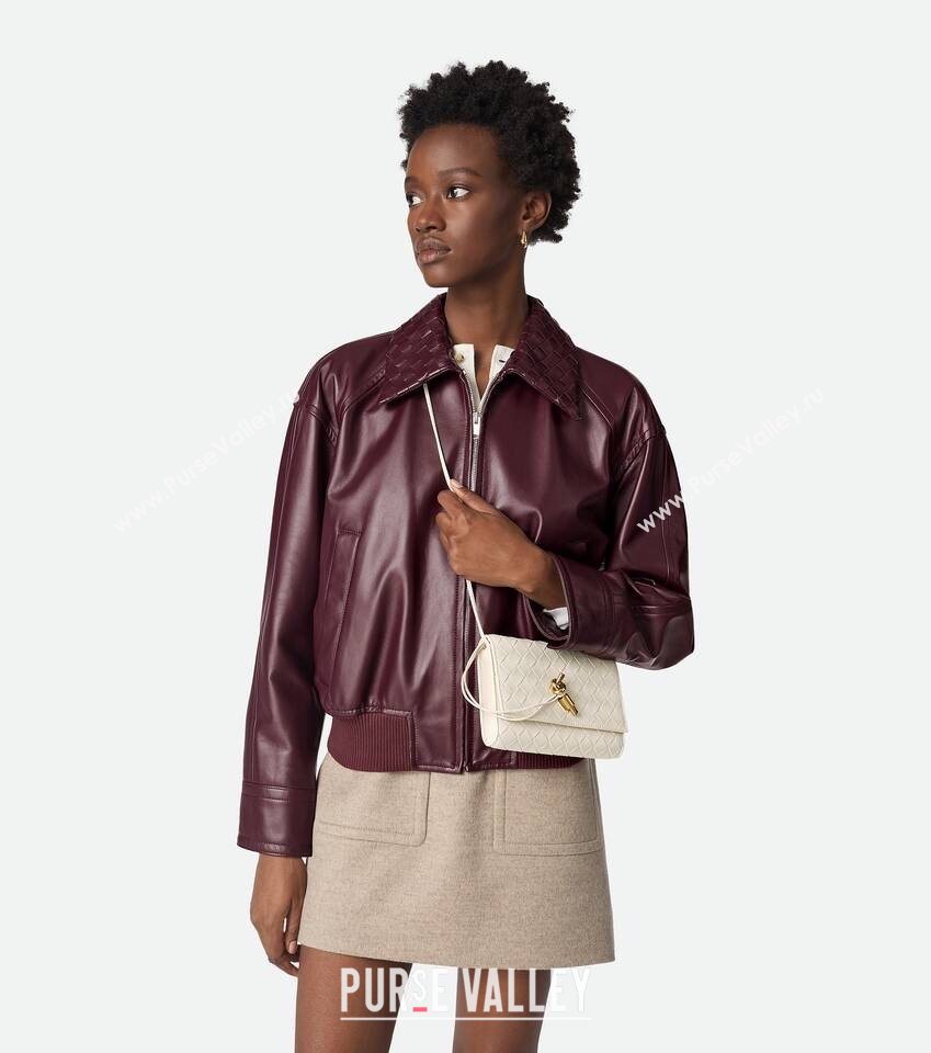 Bottega Veneta Andiamo Pouch on Strap Mini Bag in Intrecciato Leather 836940 Sea Salt 2026 (WT-260117028)