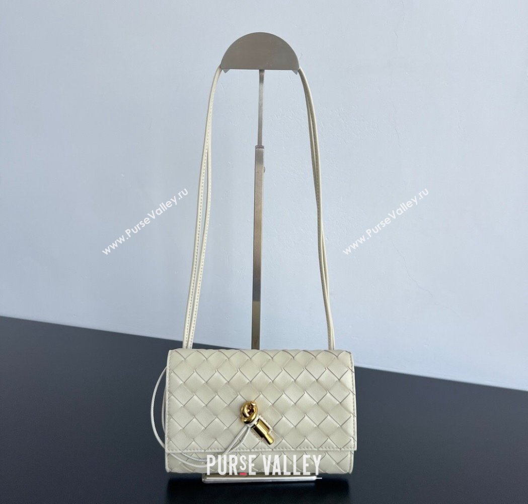 Bottega Veneta Andiamo Pouch on Strap Mini Bag in Intrecciato Leather 836940 Sea Salt 2026 (WT-260117028)