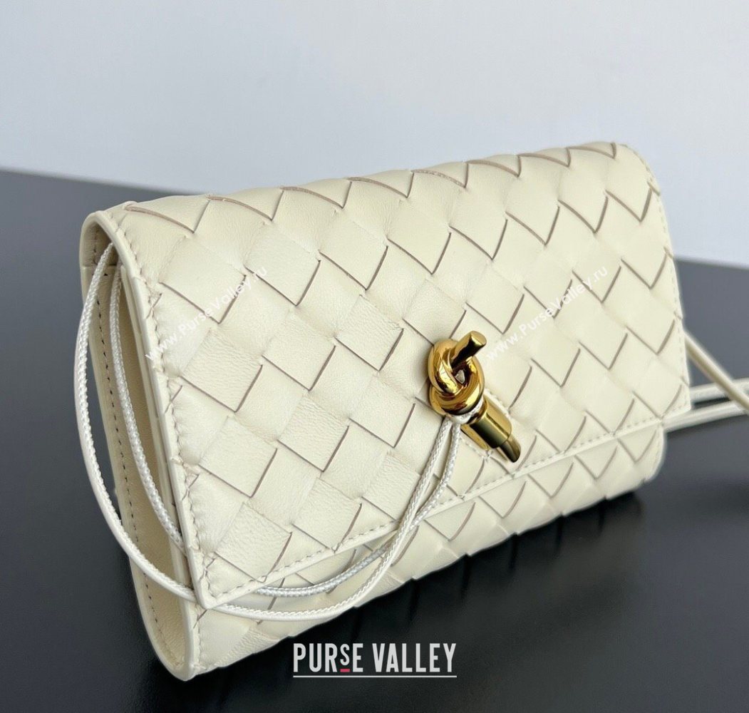 Bottega Veneta Andiamo Pouch on Strap Mini Bag in Intrecciato Leather 836940 Sea Salt 2026 (WT-260117028)