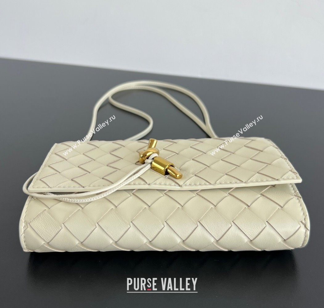 Bottega Veneta Andiamo Pouch on Strap Mini Bag in Intrecciato Leather 836940 Sea Salt 2026 (WT-260117028)