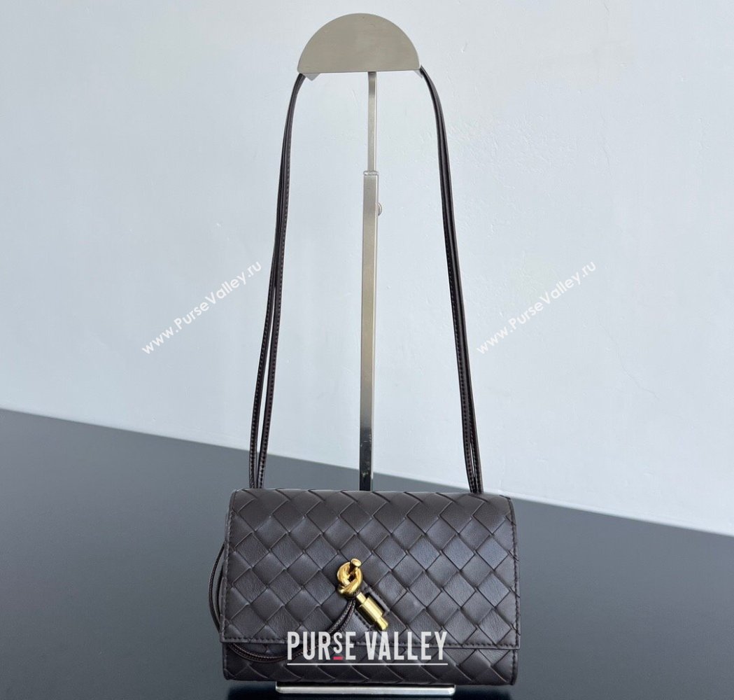 Bottega Veneta Andiamo Pouch on Strap Mini Bag in Intrecciato Leather 836940 Fondant Brown 2026 (WT-260117029)