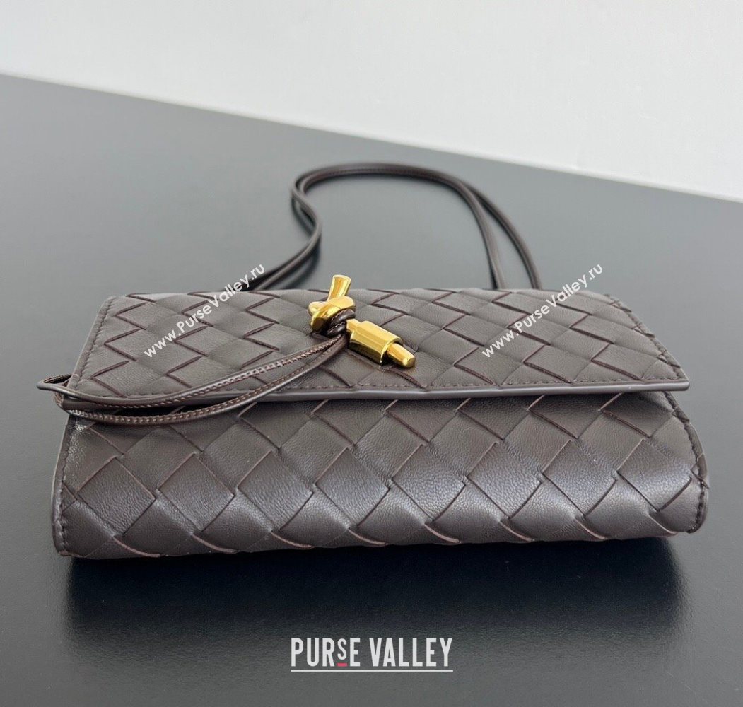 Bottega Veneta Andiamo Pouch on Strap Mini Bag in Intrecciato Leather 836940 Fondant Brown 2026 (WT-260117029)