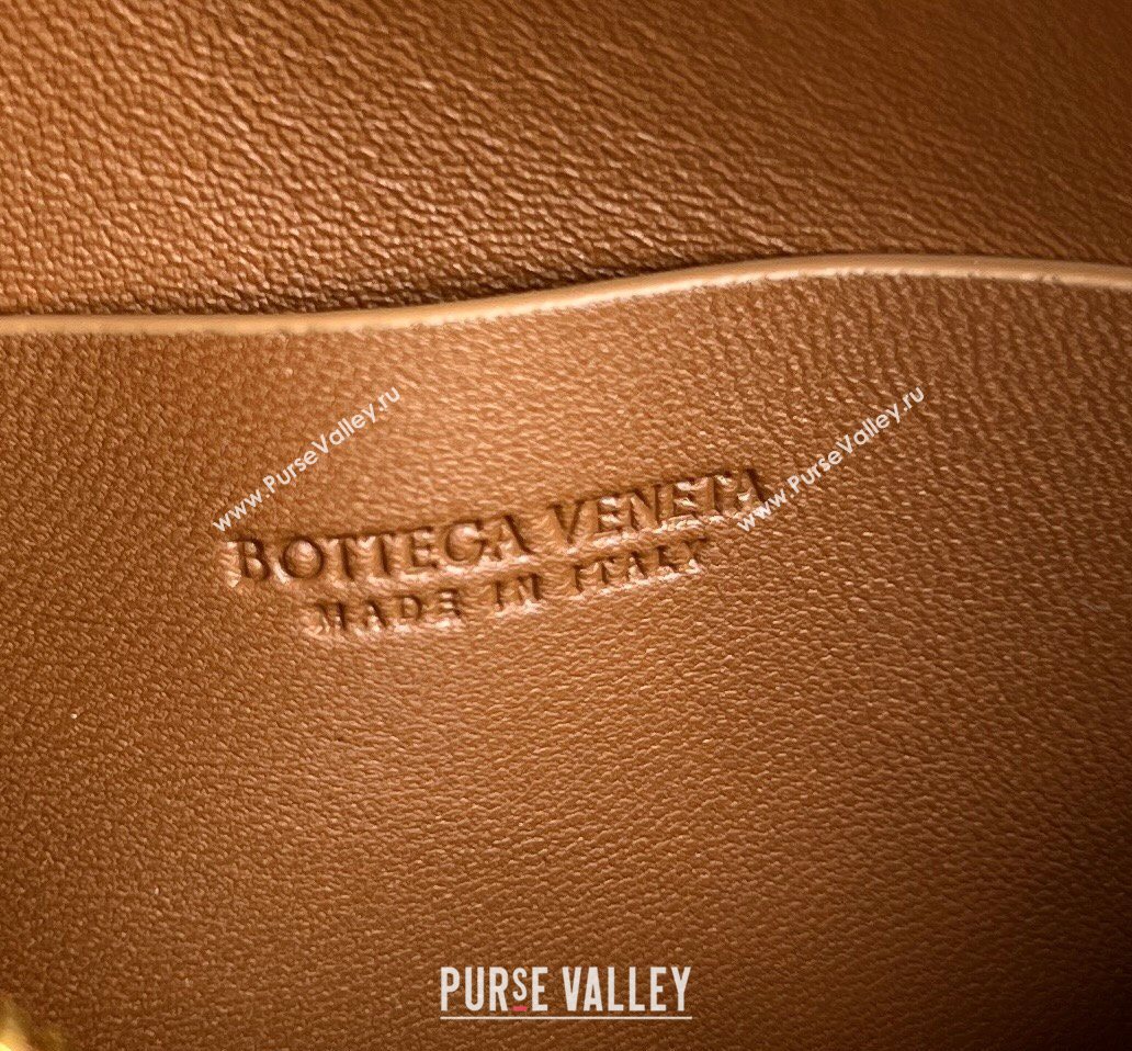 Bottega Veneta Intrecciato Leather Concert Pouch Mini bag Amber Brown 2026 794258 (WT-260401001)