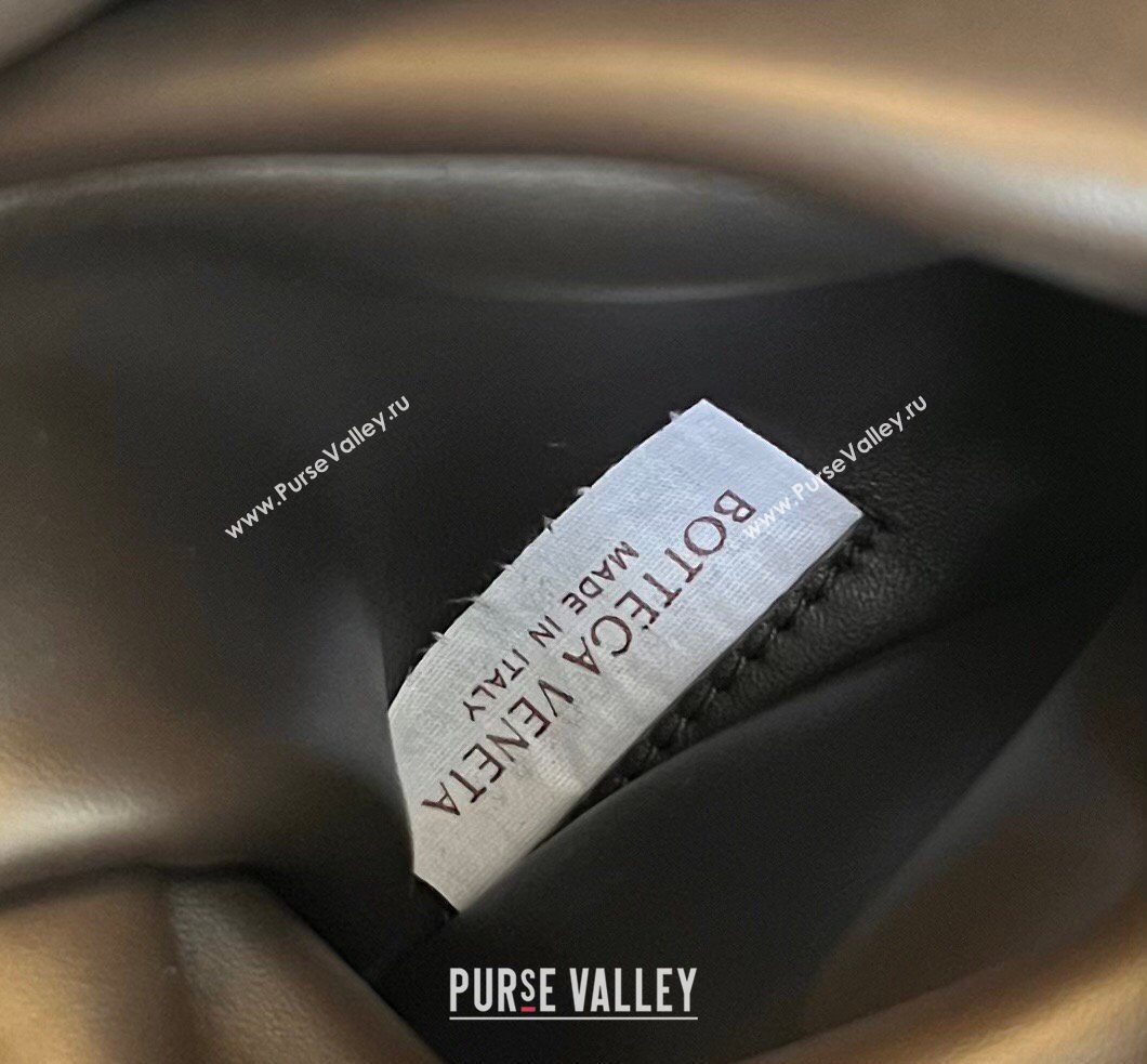 Bottega Veneta Raffia Straw Tote Bag Beige 2026 730847 (WT-260401029)