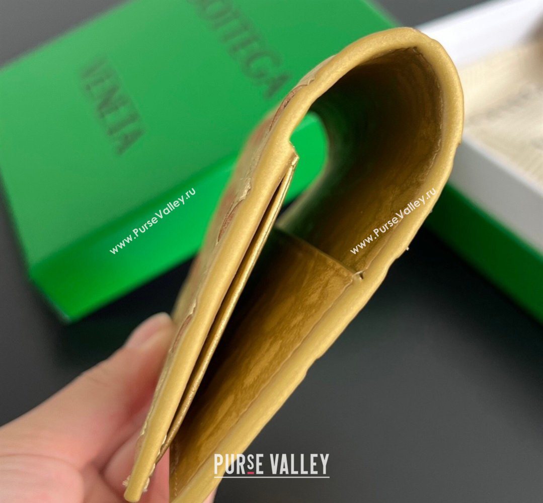 Bottega Veneta Intrecciato Leather Passport Case Gold 2026 749954 (WT-260401035)