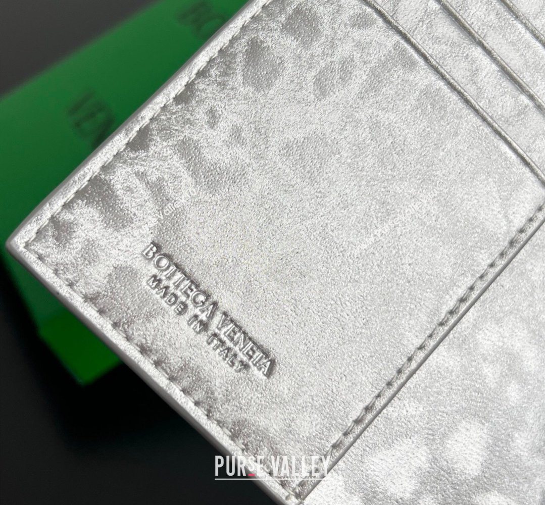 Bottega Veneta Intrecciato Leather Passport Case Silver 2026 749954 (WT-260401036)