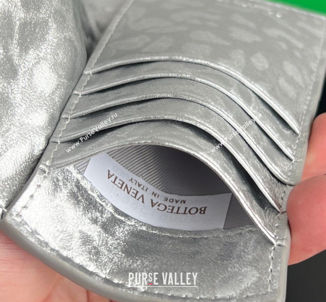 Bottega Veneta Intrecciato Leather Passport Case Silver 2026 749954 (WT-260401036)