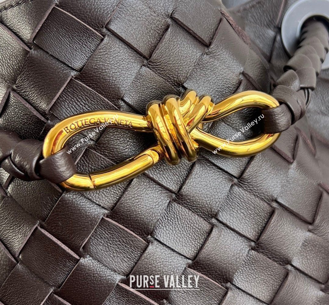 Bottega Veneta Andiamo Small Bucket Bag in Intrecciato Leather Fondant Brown 2026 855759 (WT-260401062)