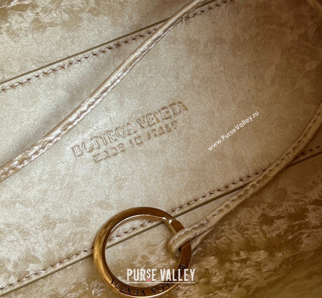 Bottega Veneta Small Loop Cross-Body Bag in Intrecciato Lamina Satin Leather Gold 2026 796615 (WT-260401042)