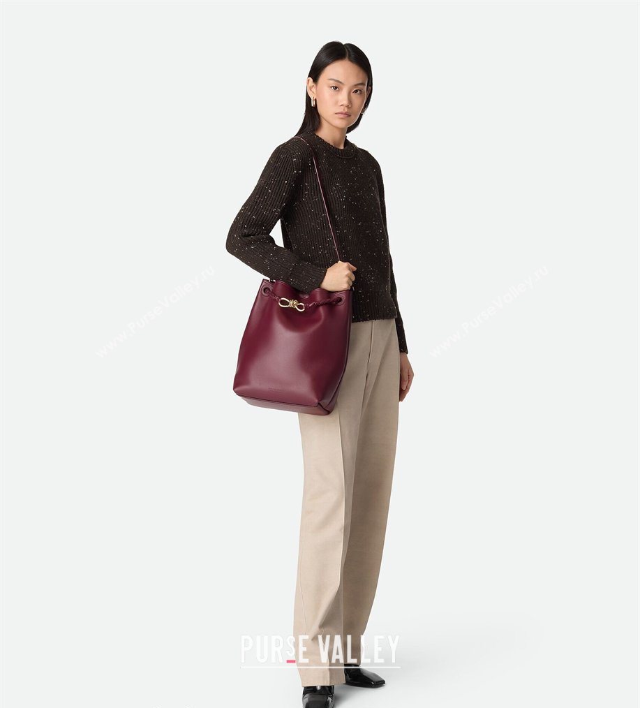 Bottega Veneta Andiamo Bucket Bag in Silky Leather Barolo Red 2026 844169 (WT-260401066)