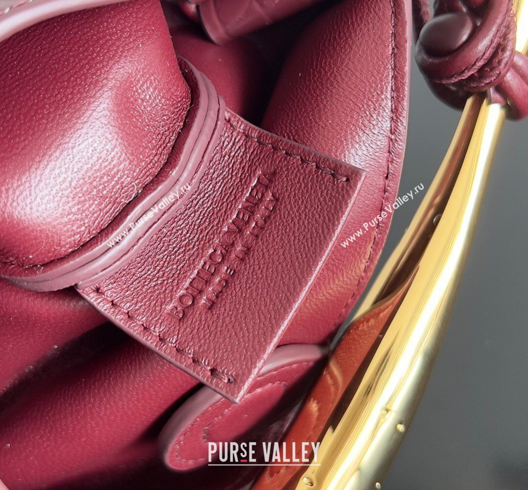 Bottega Veneta Mini Sardine Bag in Crocodile Embossed Leather Burgundy 2026 744267 (YX-260402004)