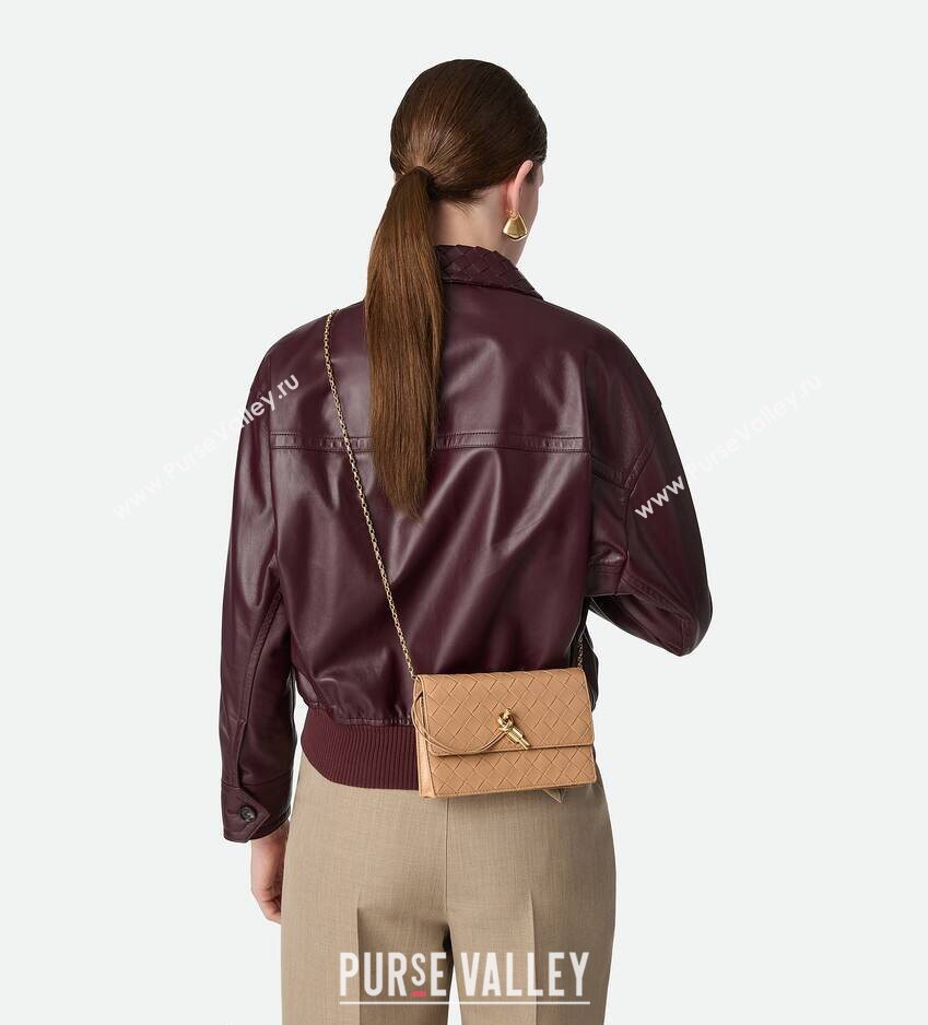 Bottega Veneta Andiamo Pouch on Chain Mini Bag in Intrecciato Leather Pale Brown 2026 844107 (WT-260402102)