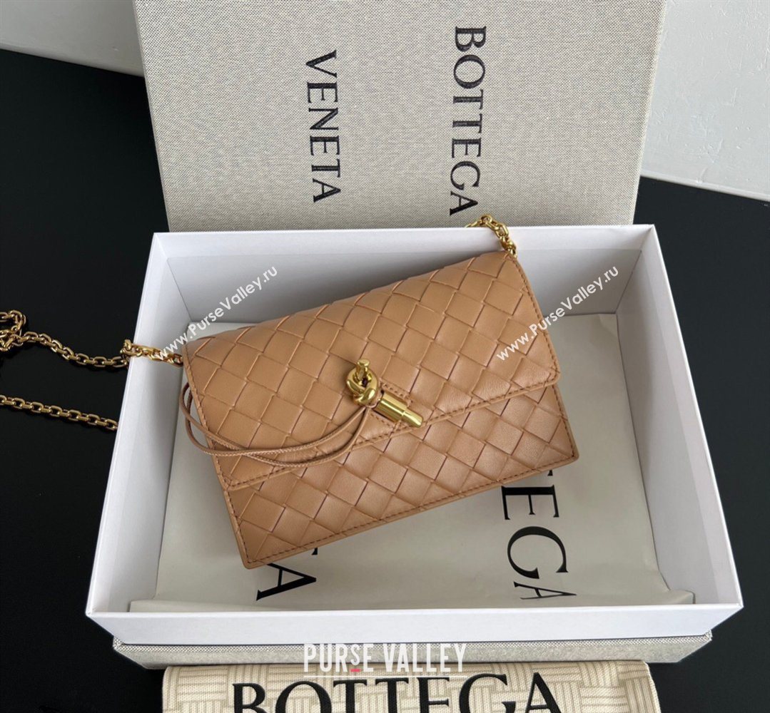 Bottega Veneta Andiamo Pouch on Chain Mini Bag in Intrecciato Leather Pale Brown 2026 844107 (WT-260402102)