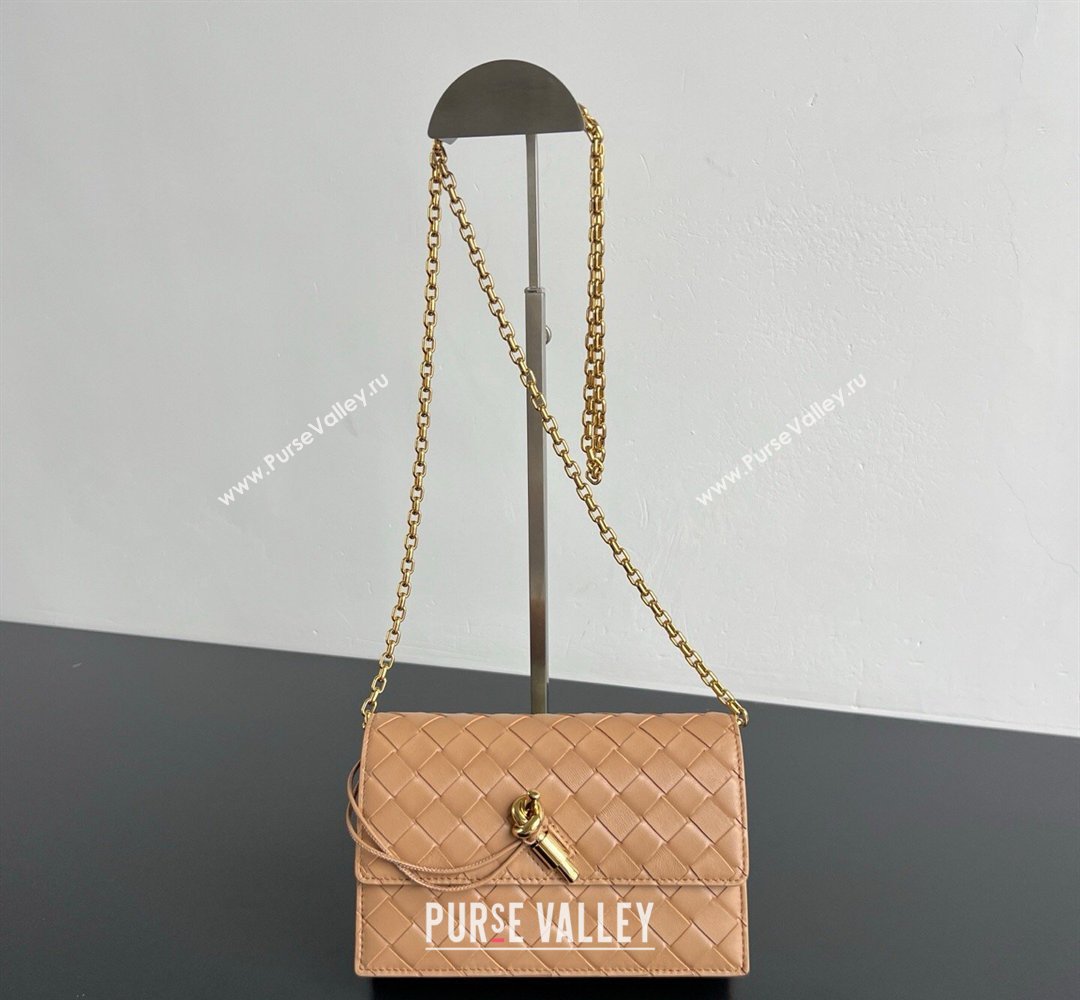 Bottega Veneta Andiamo Pouch on Chain Mini Bag in Intrecciato Leather Pale Brown 2026 844107 (WT-260402102)