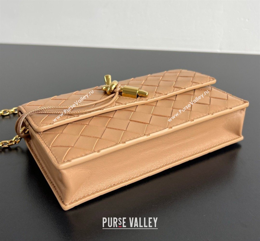 Bottega Veneta Andiamo Pouch on Chain Mini Bag in Intrecciato Leather Pale Brown 2026 844107 (WT-260402102)