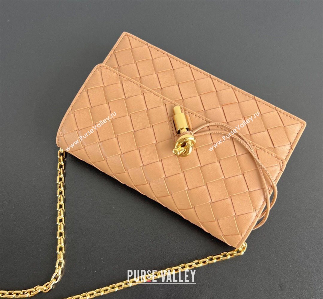 Bottega Veneta Andiamo Pouch on Chain Mini Bag in Intrecciato Leather Pale Brown 2026 844107 (WT-260402102)