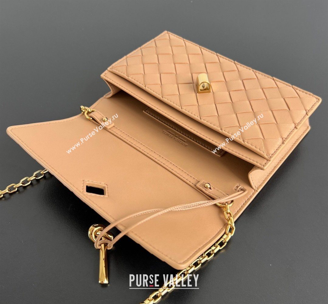 Bottega Veneta Andiamo Pouch on Chain Mini Bag in Intrecciato Leather Pale Brown 2026 844107 (WT-260402102)