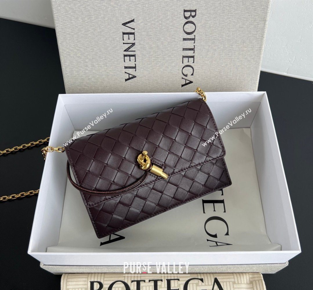 Bottega Veneta Andiamo Pouch on Chain Mini Bag in Intrecciato Leather Dark Barolo Red 2026 844107 (WT-260402101)
