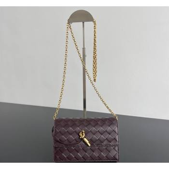 Bottega Veneta Andiamo Pouch on Chain Mini Bag in Intrecciato Leather Dark Barolo Red 2026 844107 (WT-260402101)