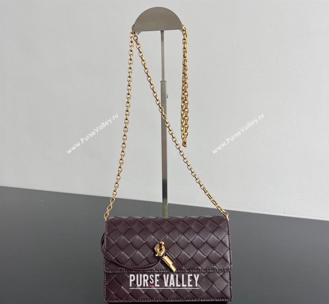 Bottega Veneta Andiamo Pouch on Chain Mini Bag in Intrecciato Leather Dark Barolo Red 2026 844107 (WT-260402101)