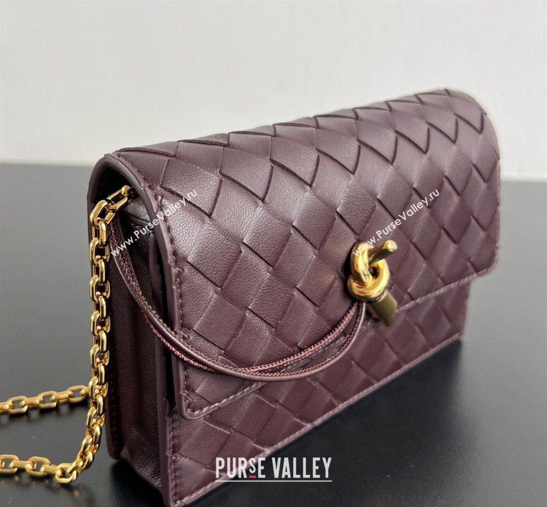 Bottega Veneta Andiamo Pouch on Chain Mini Bag in Intrecciato Leather Dark Barolo Red 2026 844107 (WT-260402101)