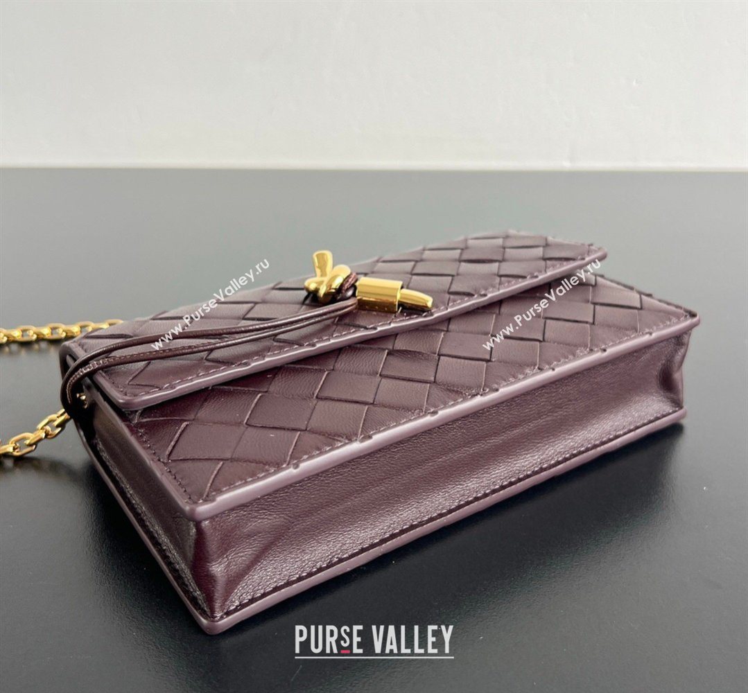 Bottega Veneta Andiamo Pouch on Chain Mini Bag in Intrecciato Leather Dark Barolo Red 2026 844107 (WT-260402101)